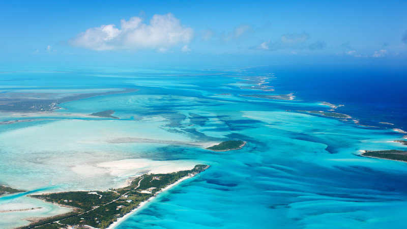 The Bahamas